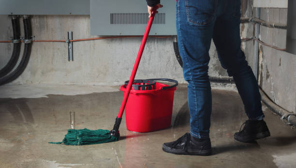 Best Local water damage restoration  in Deforest, WI