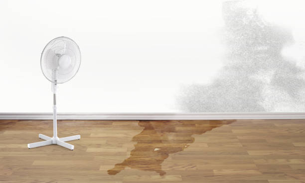 Best Water damage cleanup near me  in Deforest, WI