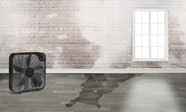 Best Sewage cleanup and water damage restoration  in Deforest, WI