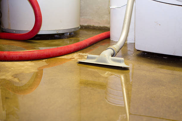 Best Mold removal after water damage  in Deforest, WI