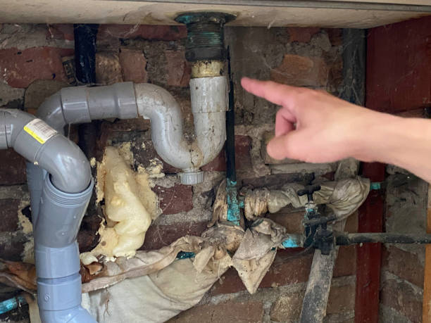 Best Water damage contractors near me  in Deforest, WI