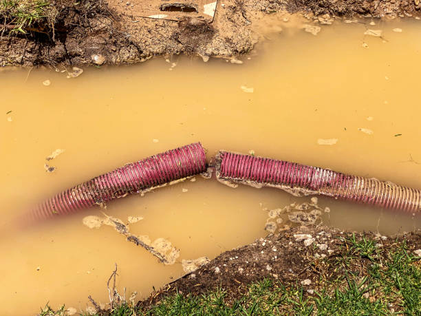 Best 24-hour water damage restoration  in Deforest, WI